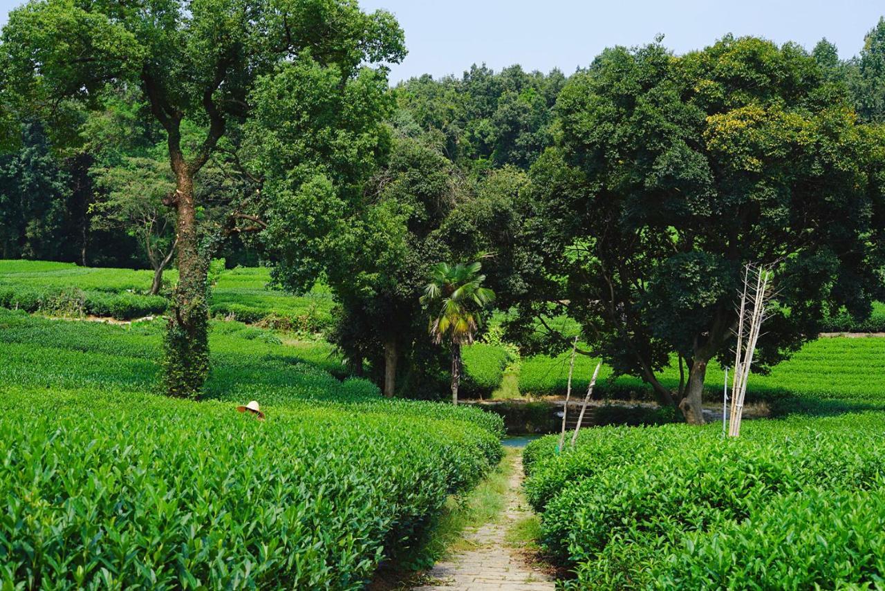 The Mountain Hotel Hàng Châu Ngoại thất bức ảnh